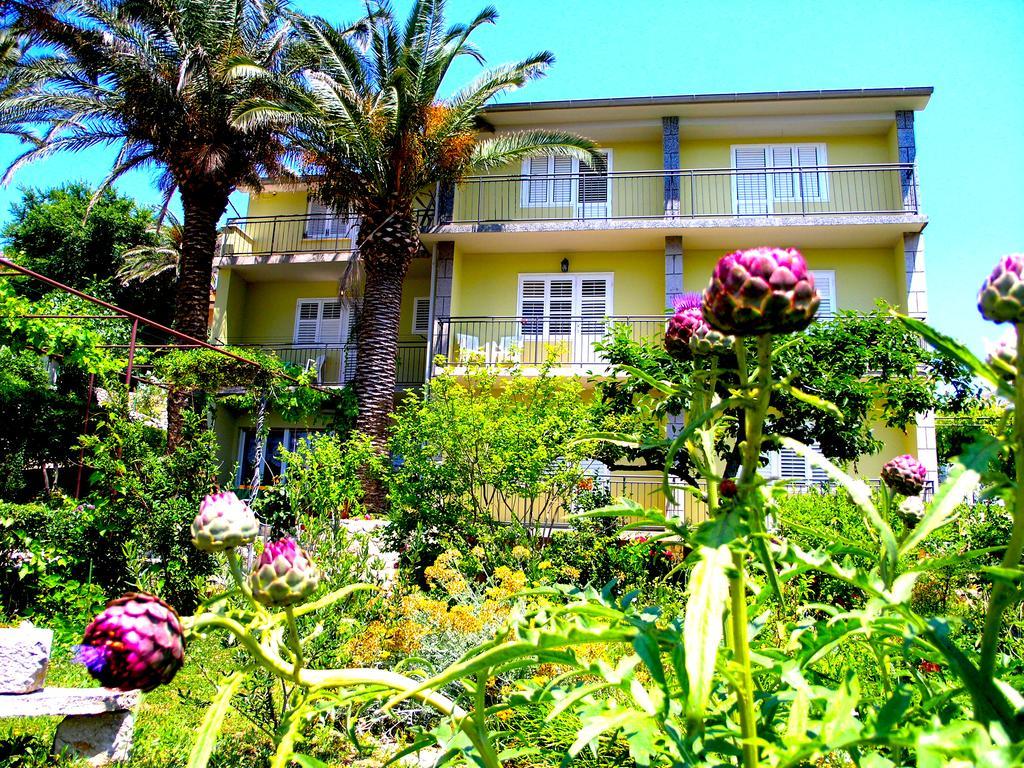 House Rozi Hotell Palit Exteriör bild